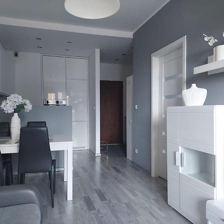 קטוביץ Modern Apartment - Francuska Park מראה חיצוני תמונה